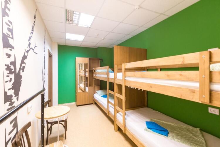 Тайга, фото 49