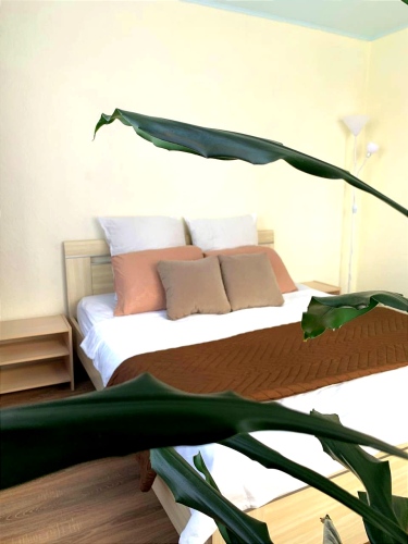 Апартаменты в сердце Костромы, фото 42