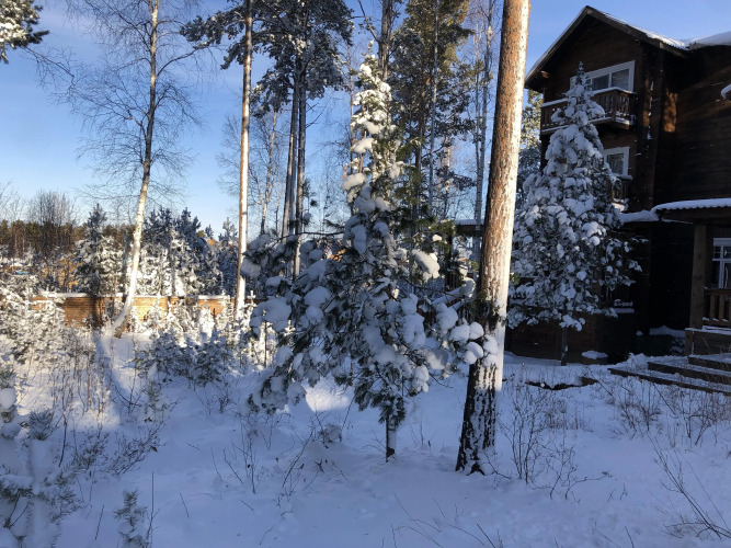 Загородный Отель Сосны, фото 34