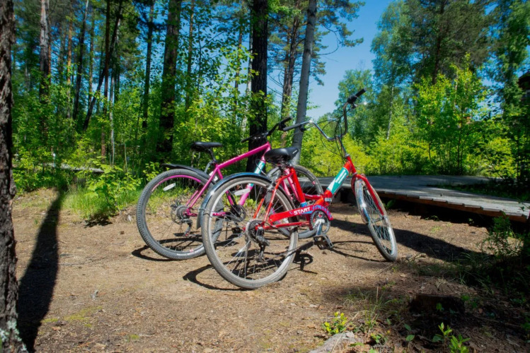 Загородный Отель Сосны, фото 50