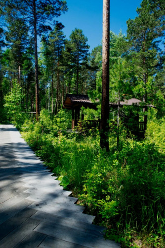 Загородный Отель Сосны, фото 52