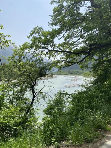 Гостевой Дом  Любимое, фото 19