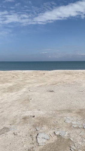 Терра Теана, фото 13