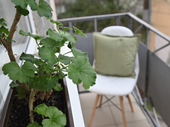 Апартаменты Apart Ленинский 67А, фото 34