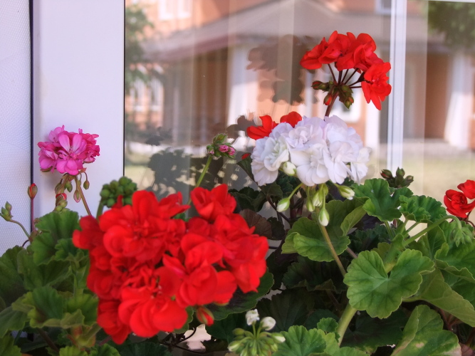 Апартаменты Любимая Дача, фото 19