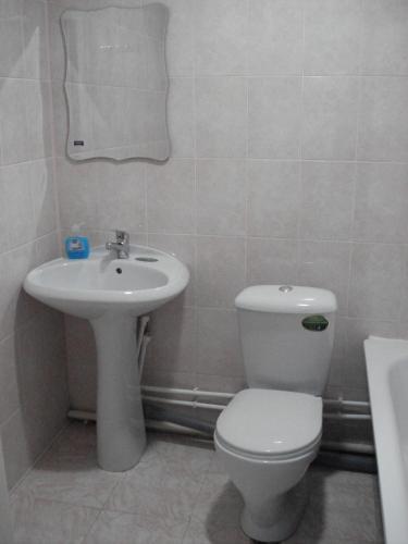 Чайка, фото 26