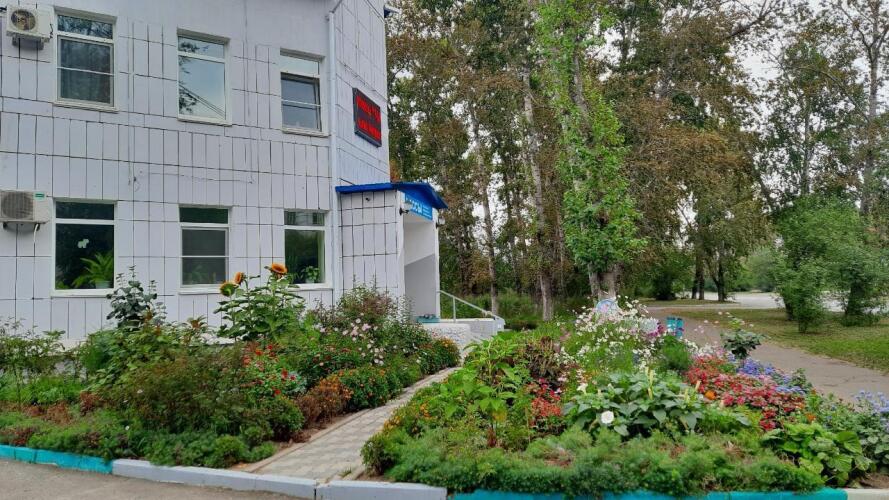 Чайка, фото 32