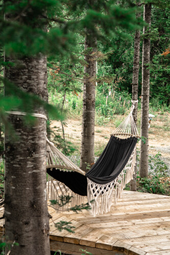 Мини-отель DzenDome, фото 50