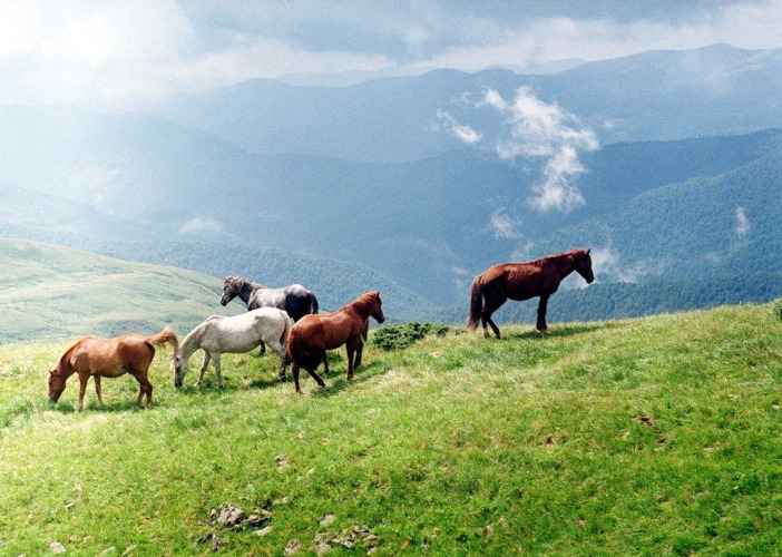 База отдыха Сельская усадьба, фото 64