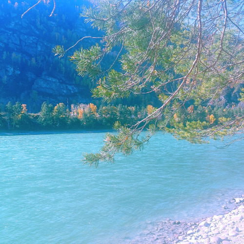 База отдыха Сельская усадьба, фото 73