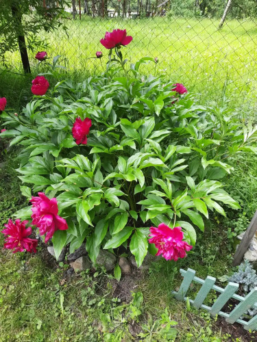 База отдыха Сельская усадьба, фото 75