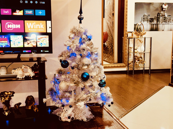 Дом с прекрасным видом на зелёный парк и реку, фото 55