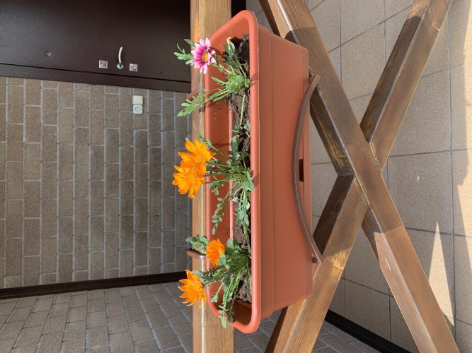 Гостевой дом Голубицкая вилладж, фото 10