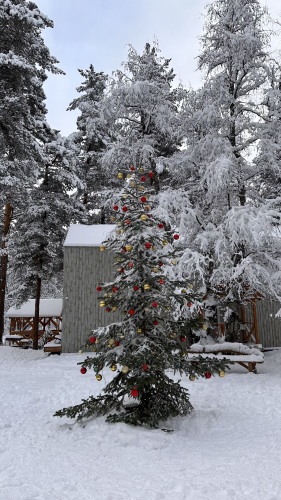 Гостевые дома Шишка, фото 27