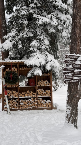 Гостевые дома Шишка, фото 28