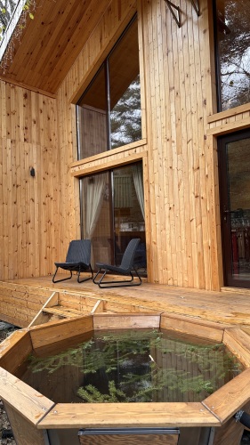 Гостевые дома Шишка, фото 48