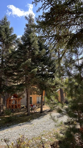 Гостевые дома Шишка, фото 52