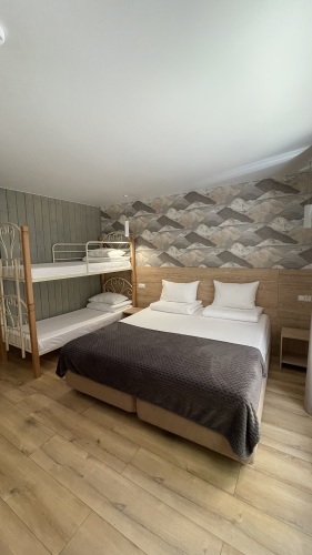 Гостевые дома Шишка, фото 61