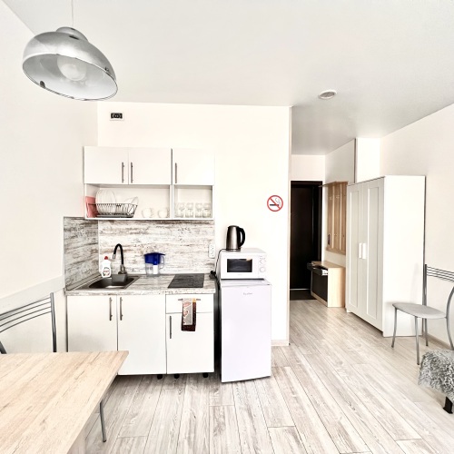 Апартаменты Магия на Ситникова, фото 30