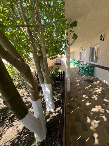 Гостевой дом Орхидея, фото 15