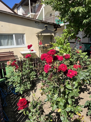 Гостевой дом Орхидея, фото 16