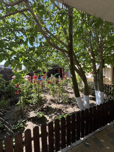 Гостевой дом Орхидея, фото 19