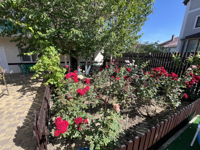 Гостевой дом Орхидея, фото 22