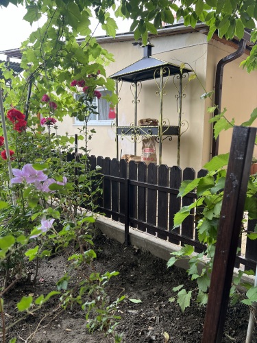 Гостевой дом Орхидея, фото 30