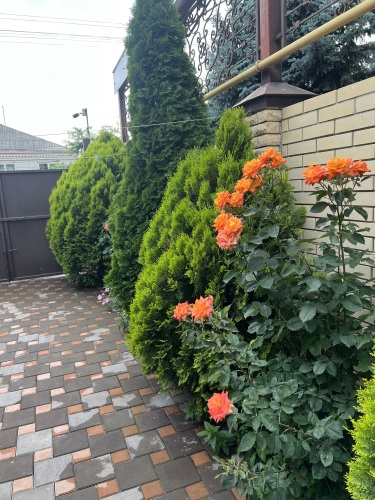 Гостевой дом Орхидея, фото 31