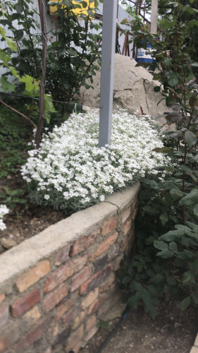 Дача на море Крымские каникулы, фото 33