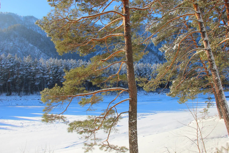 База отдыха Эрандэл, фото 21