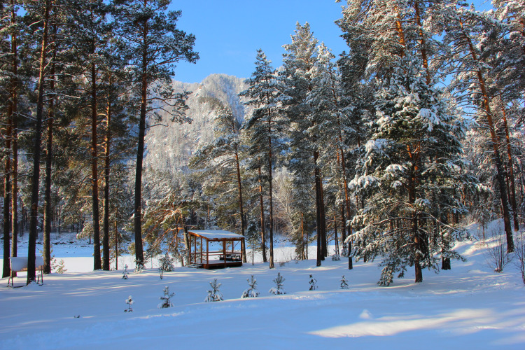 База отдыха Эрандэл, фото 29