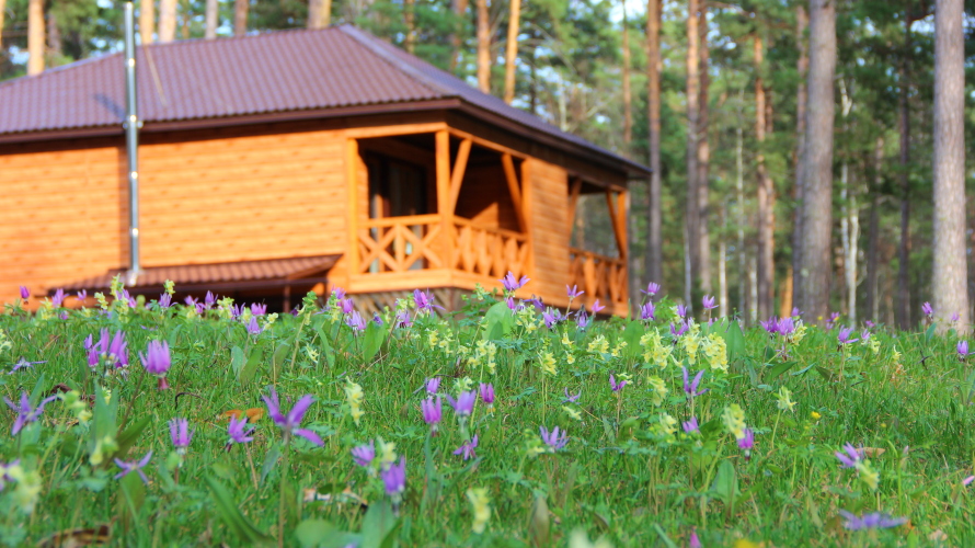 База отдыха Эрандэл, фото 34