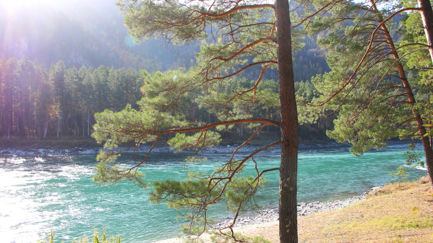 База отдыха Эрандэл, фото 36