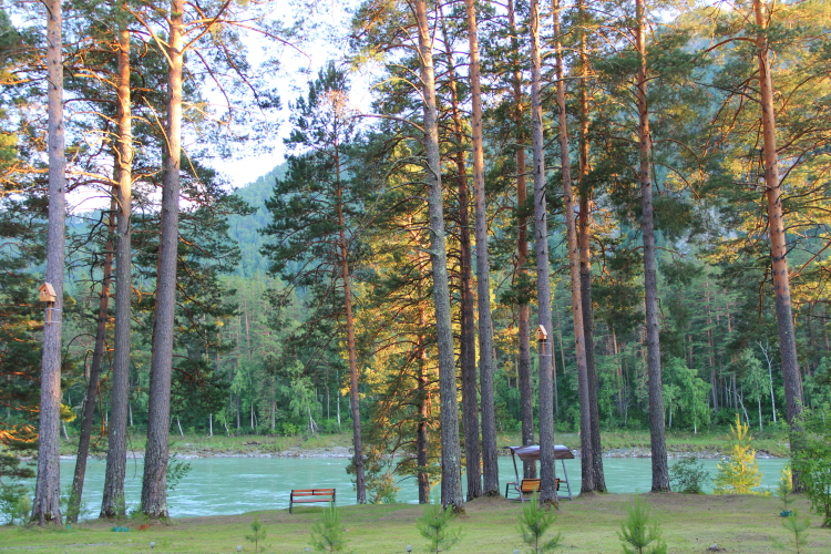 База отдыха Эрандэл, фото 39