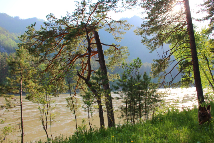 База отдыха Эрандэл, фото 40