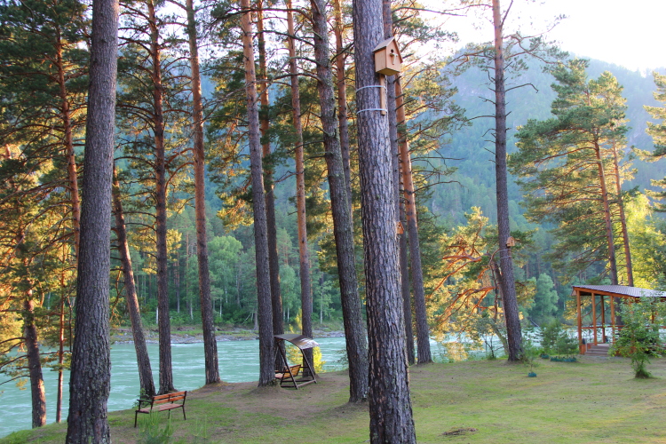 База отдыха Эрандэл, фото 41