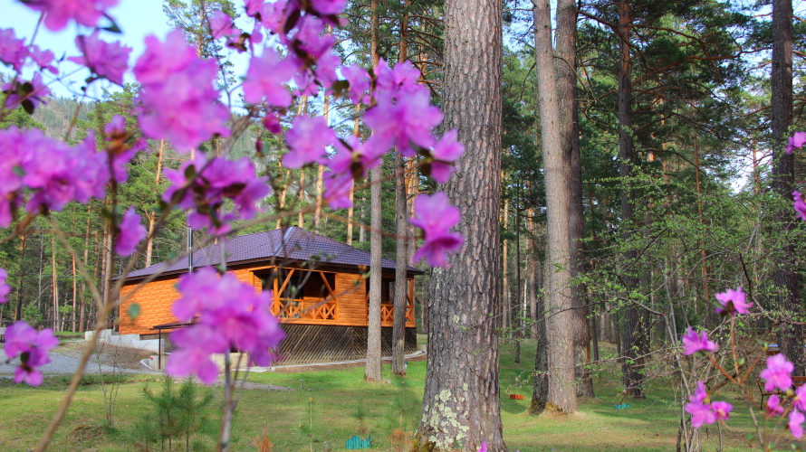 База отдыха Эрандэл, фото 43