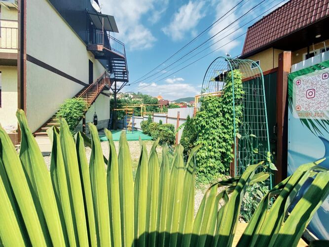 Гостевой дом Колибри, фото 22