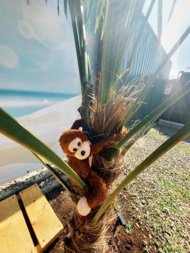 Гостевой дом Колибри, фото 24