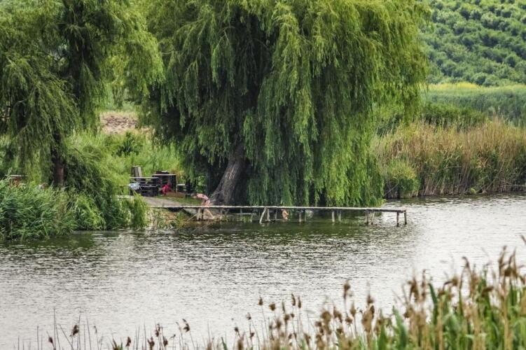 Турбаза Любимая усадьба, фото 54