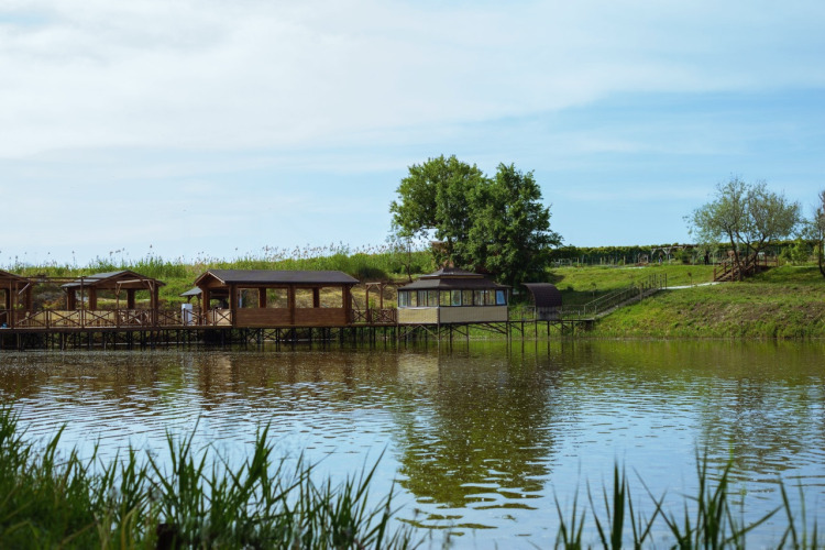 Турбаза Любимая усадьба, фото 56