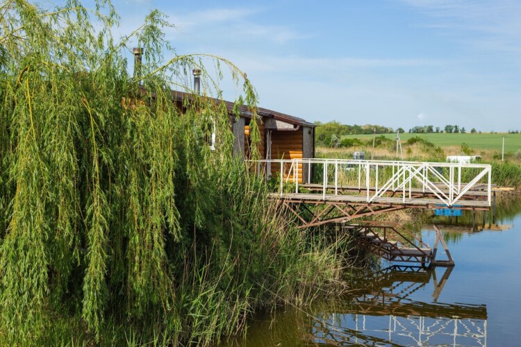 Турбаза Любимая усадьба, фото 58