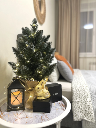 Апартаменты Abramov Green, фото 53