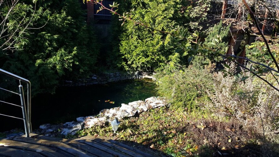 Усадьба «Раздолье», фото 62