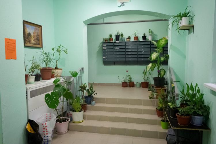 Studios Crocus (Студио Крокус) на Ильинском, фото 63