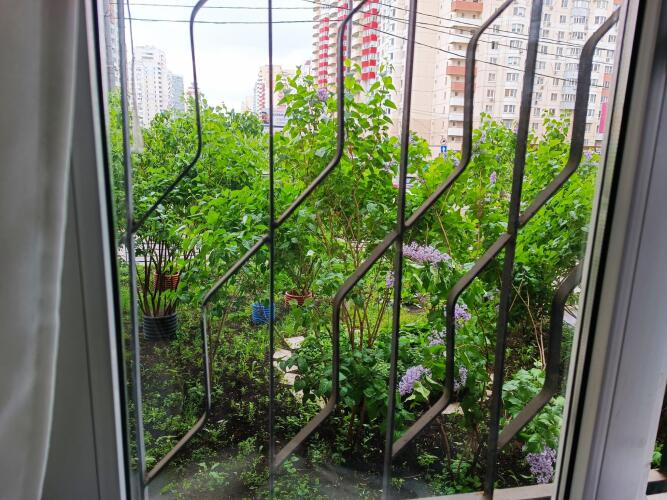 Studios Crocus (Студио Крокус) на Ильинском, фото 73