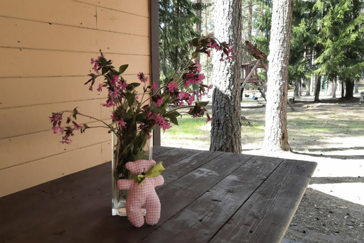 База отдыха Заветное, фото 8