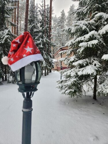 База отдыха Заветное, фото 17