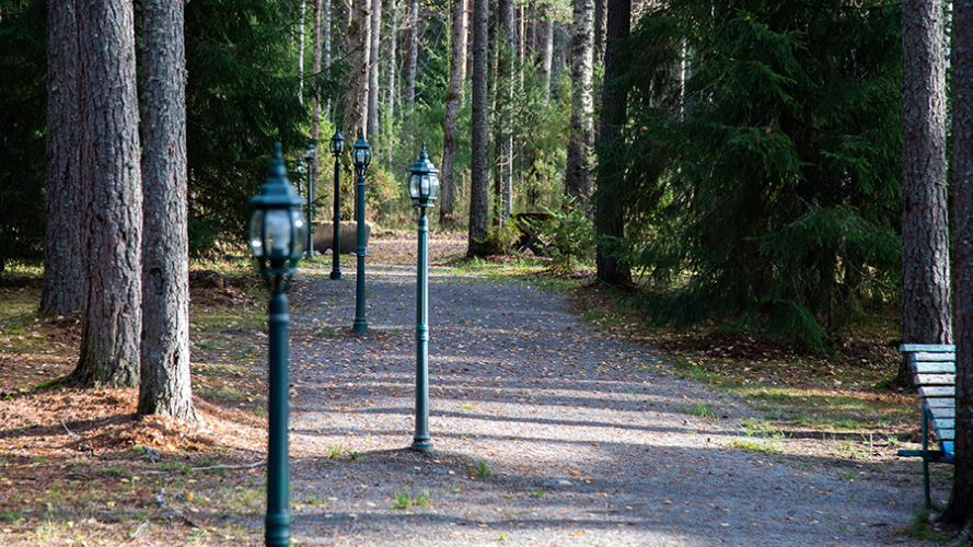 База отдыха Заветное, фото 23